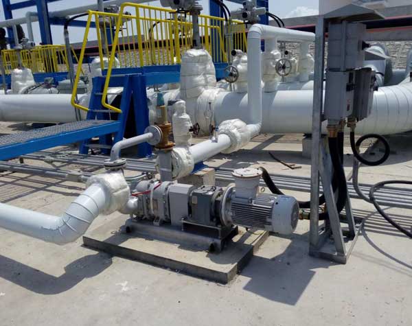 凸輪式轉子泵的日常維護方法