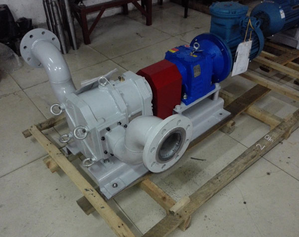 不銹鋼轉(zhuǎn)子泵