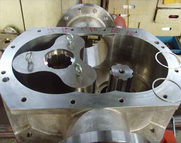 轉子泵生產廠家哪家更可靠?怎么選擇?